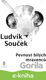 Pevnost bílých mravenců