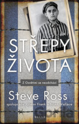 Střepy života