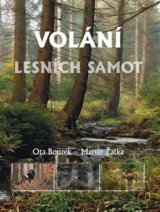 Volání lesních samot