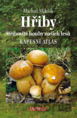 Hřiby