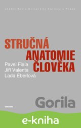 Stručná anatomie člověka