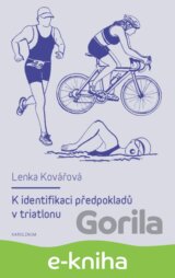 K identifikaci předpokladů v triatlonu