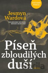 Píseň zbloudilých duší