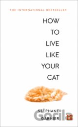 How to Live Like Your Cat