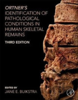 Ortner's Identification of Pathological Conditions in Human Skeletal Remains