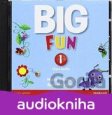 Big Fun 1 - Class Audio
