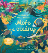 Podívej se pod obrázek: Moře a Oceány