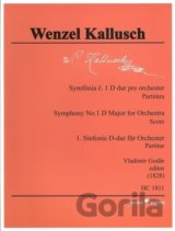 Symfónia č. 1 D dur pre orchester