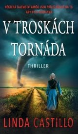 V troskách tornáda