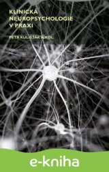 Klinická neuropsychologie v praxi
