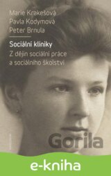 Sociální kliniky
