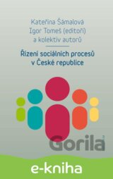 Řízení sociálních procesů v České republice
