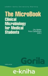 The MicroBook