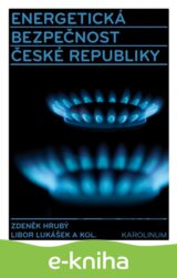 Energetická bezpečnost České republiky