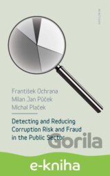 Detecting and Reducing Corruption Risk and Fraud in the Public Sector