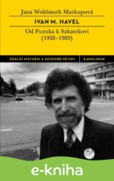 Ivan M. Havel