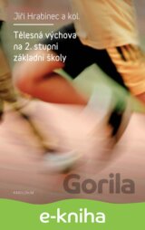 Tělesná výchova na 2. stupni základních škol