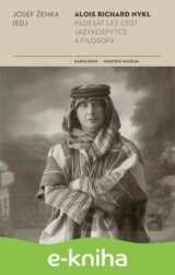 Alois Richard Nykl: Poznámky k revoluční akci v Chicagu (1914–1918)
