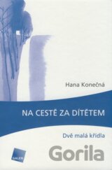 Na cestě za dítětem