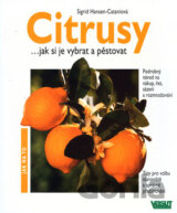 Citrusy