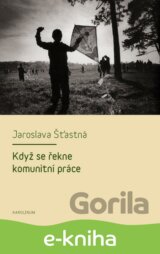 Když se řekne komunitní práce