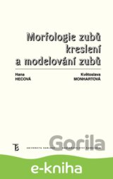 Morfologie zubů. Kreslení a modelování zubů