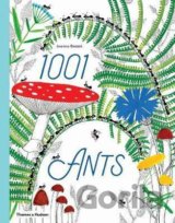 1001 Ants