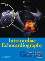 Intracardiac Echocardiography
