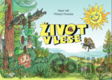 Život v lese