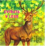 Zvířata v lese