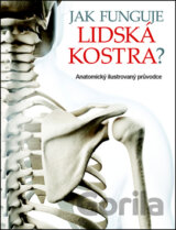 Jak funguje lidská kostra?
