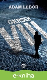 Okrsek VIII