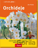Orchideje