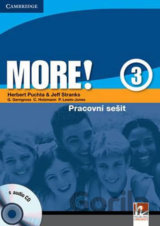 More! Level 3 Workbook