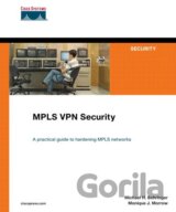MPLS VPN Security