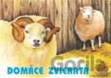Domáce zvieratá