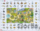 Learning English Puzzle 5 EN5