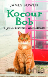 Kocour Bob a jeho životní moudrost
