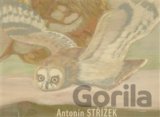 Antonín Střížek