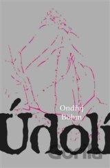 Údolí