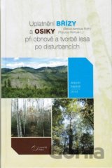 Uplatnění břízy a osiky při obnově a tvorbě lesa po disturbancích