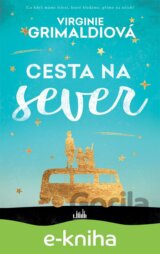 Cesta na sever