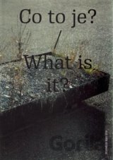 Co to je?/What is it