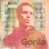 Liam Gallagher: Why Me? Why Not.