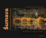 Šumava Františka Malocha