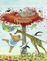 Opposites
