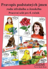 Pravopis podstatných jmen rodu středního a ženského