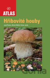 Hřibovité houby