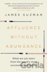 Affluence Without Abundance