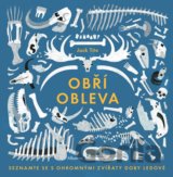 Obří obleva